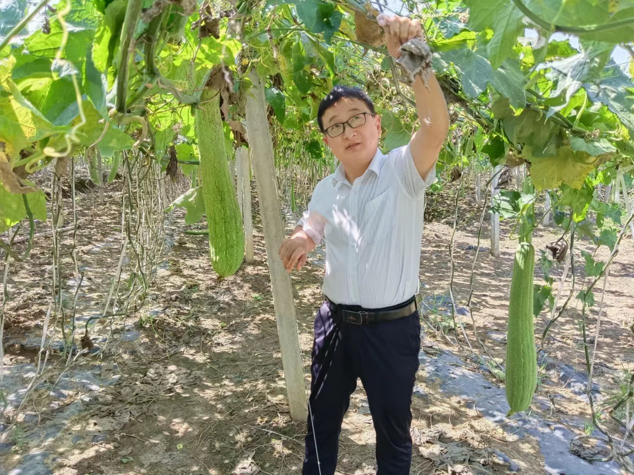 伟德BETVLCTOR1946选派干部雷永青荣获“全省第八批优秀选派干部标兵”称号2.png